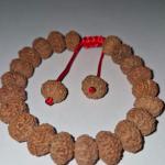 10 Mukhi Indonesian Rudraksha Bracelet (27 Beads) – Natural X-Ray Certified 8–10mm Unisex