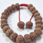 6 Mukhi Indonesian Rudraksha Bracelet (27 Beads, 8–10mm) with Sample X-Ray Certificate – Original & Certified