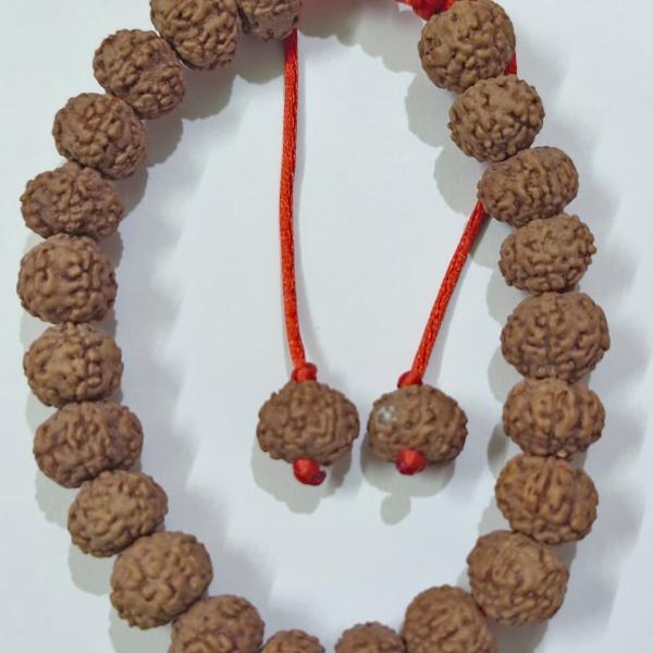 6 Mukhi Indonesian Rudraksha Bracelet (27 Beads, 8–10mm) with Sample X-Ray Certificate – Original & Certified