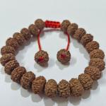 7 Mukhi Indonesian Rudraksha Bracelet (27 Beads, 8–10mm) with X-Ray Certificate – Original & Certified
