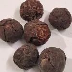 Rudraksha Fruits Nepali Origin – Natural Raw Rudraksha Fruit with Seed (Himalayan Source)