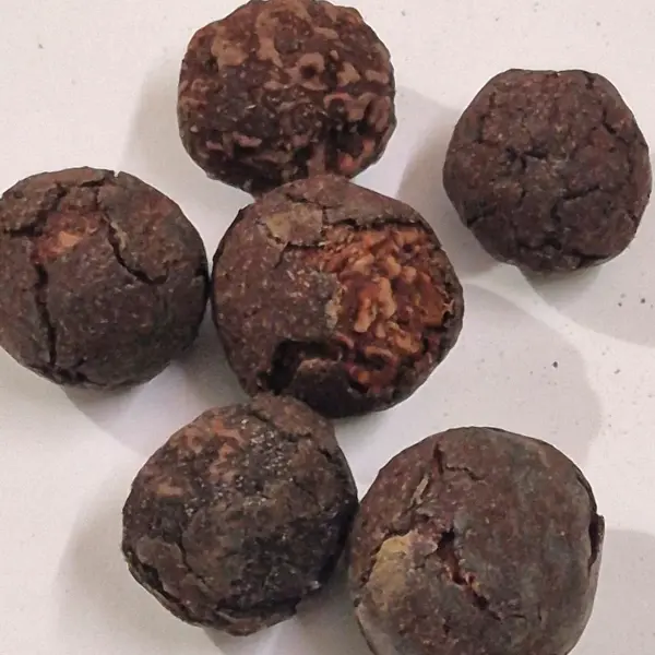 Rudraksha Fruits Nepali Origin – Natural Raw Rudraksha Fruit with Seed (Himalayan Source)