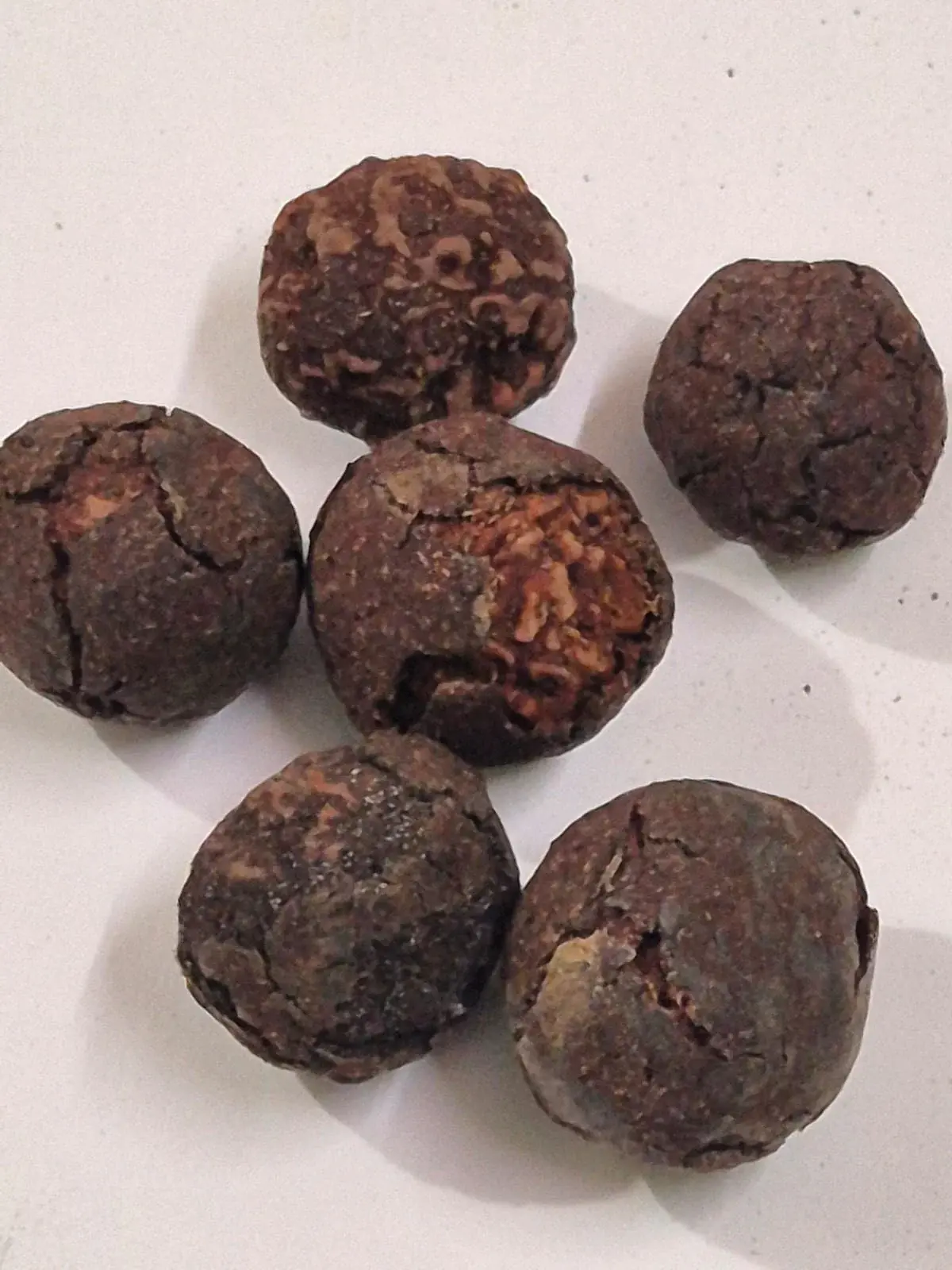 Rudraksha Fruits Nepali Origin – Natural Raw Rudraksha Fruit with Seed (Himalayan Source)