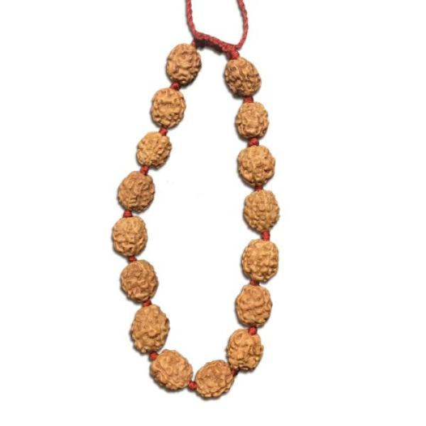 4 Mukhi Indonesian Thread Adjustable Bracelet