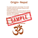 5 Mukhi Nepal Rudraksha Premium Quality 100 Piece