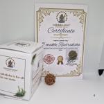 5 Mukhi Nepal Rudraksha Premium Quality 100 Piece