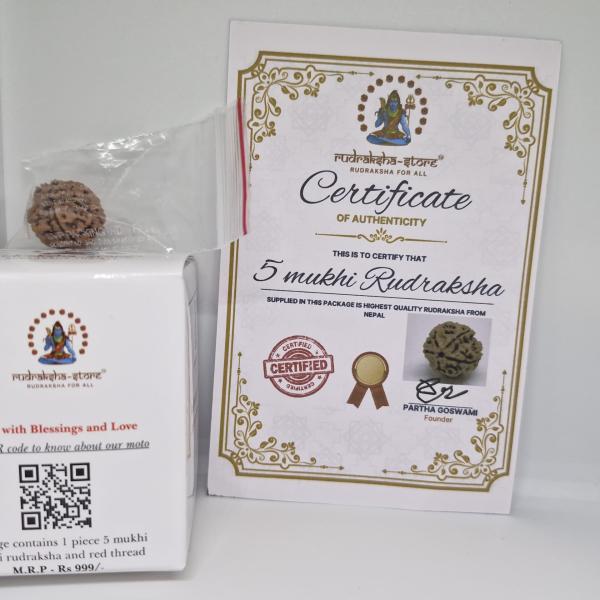 5 Mukhi Nepal Rudraksha Premium Quality 100 Piece