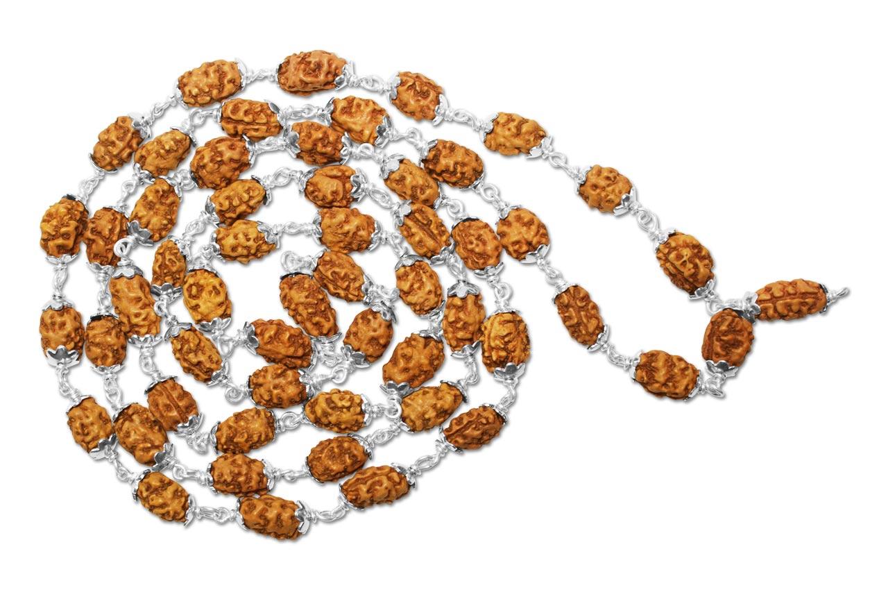 2 Mukhi Indonesian Rudraksha Mala 54 Beads In Silver (7mm-9mm)
