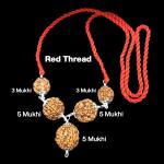 Rudraksha Combination for Health Power 3,3,5,5,5 Mukhi Nepal in Silver Pendant