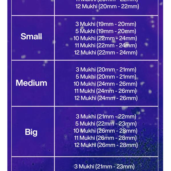 Rudraksha Combination for Navagraha Shanti 3,5,10,11,12 Mukhi Nepal in Rudraksha Mala