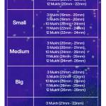 Rudraksha Combination for Navagraha Shanti 3,5,10,11,12 Mukhi Nepal in Silver Pendant