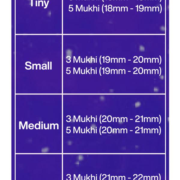 Rudraksha Combination for Health Power 3,3,5,5,5 Mukhi Nepal in Silver Chain