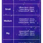 Rudraksha Combination for Career 3,7,12 Mukhi Nepal in Silver Bracelet