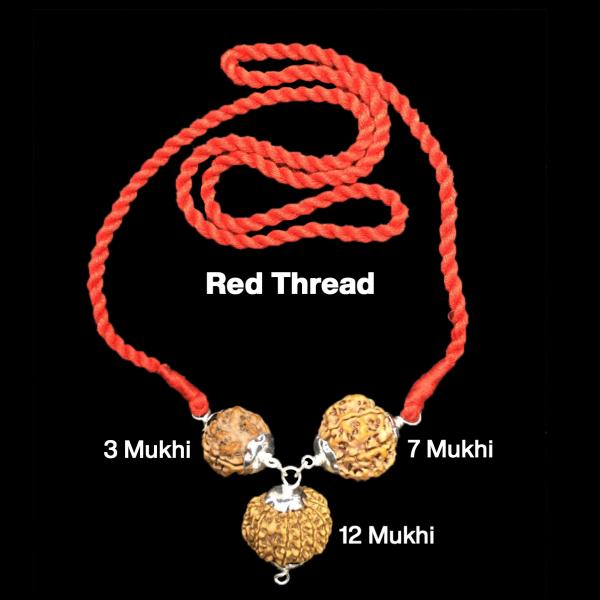 Rudraksha Combination for Career 3,7,12 Mukhi Nepal in Silver Pendant