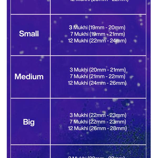 Rudraksha Combination for Career 3,7,12 Mukhi Nepal in Silver Pendant