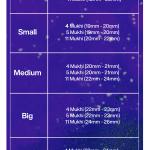 Rudraksha Combination for Wisdom 4,5,11 Mukhi Nepal in Silver Chain