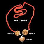 Rudraksha Combination for Wisdom 4,5,11 Mukhi Nepal in Silver Pendant