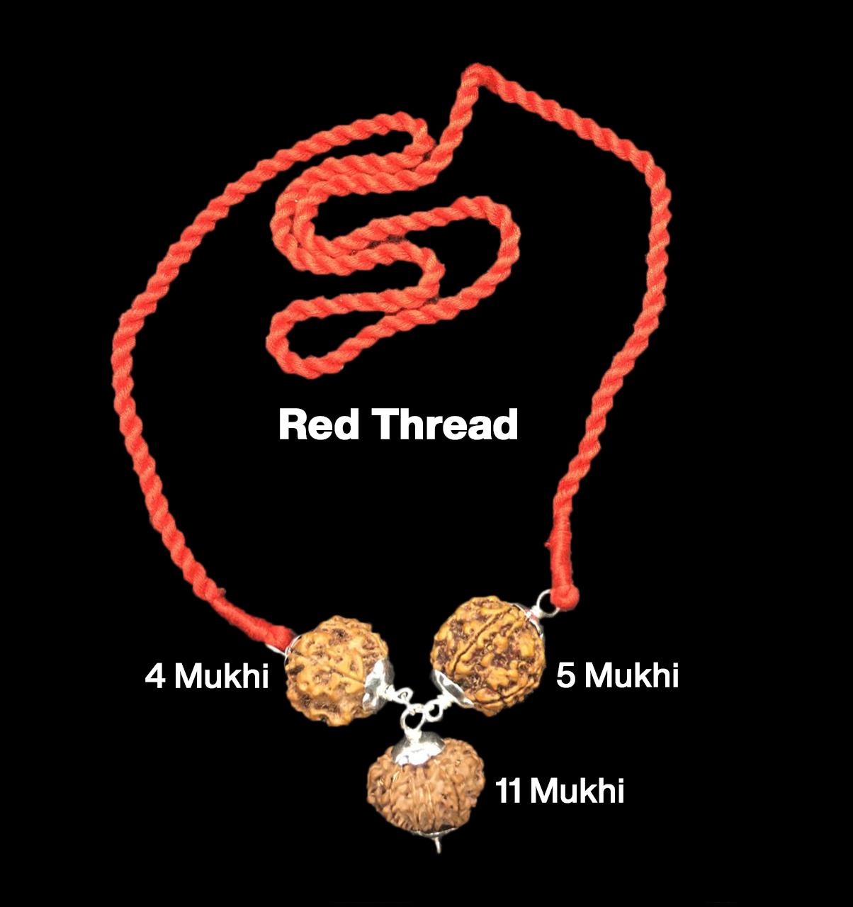 Rudraksha Combination for Wisdom 4,5,11 Mukhi Nepal in Silver Pendant