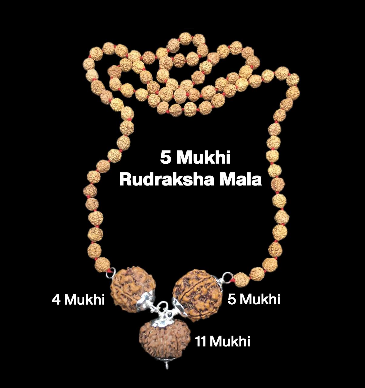 Rudraksha Combination for Wisdom 4,5,11 Mukhi Nepal in Rudraksha Mala