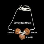 Rudraksha Combination for Hanuman Power 4,5,11 Mukhi Nepal in Silver Chain