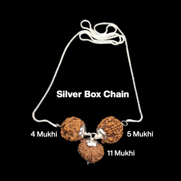 Rudraksha Combination for Hanuman Power 4,5,11 Mukhi Nepal in Silver Chain