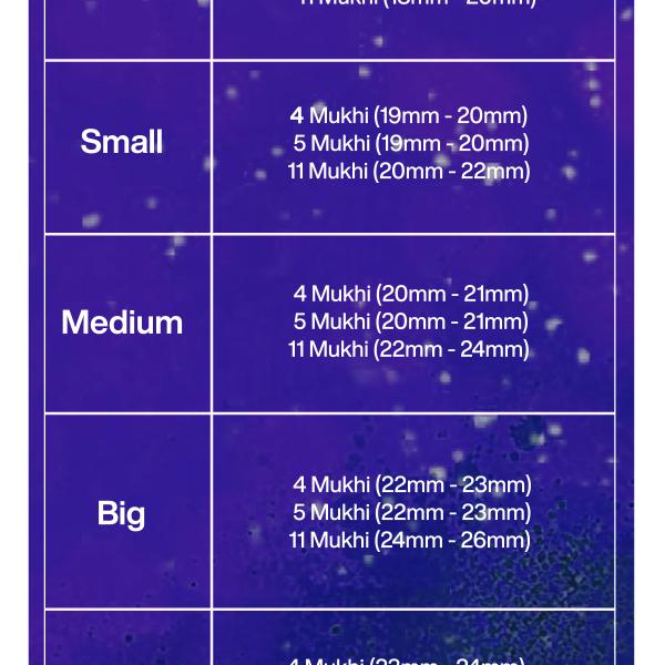 Rudraksha Combination for Hanuman Power 4,5,11 Mukhi Nepal in Silver Mala