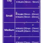 Rudraksha Combination for Students 4,4,6 Mukhi Nepal in Silver Mala