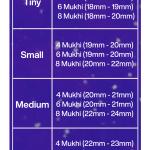 Rudraksha Combination for Advocates 4,6,8 Mukhi Nepal in Rudraksha Mala