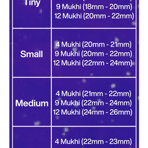 Rudraksha Combination for Doctors 4,9,12 Mukhi Nepal in Silver Chain