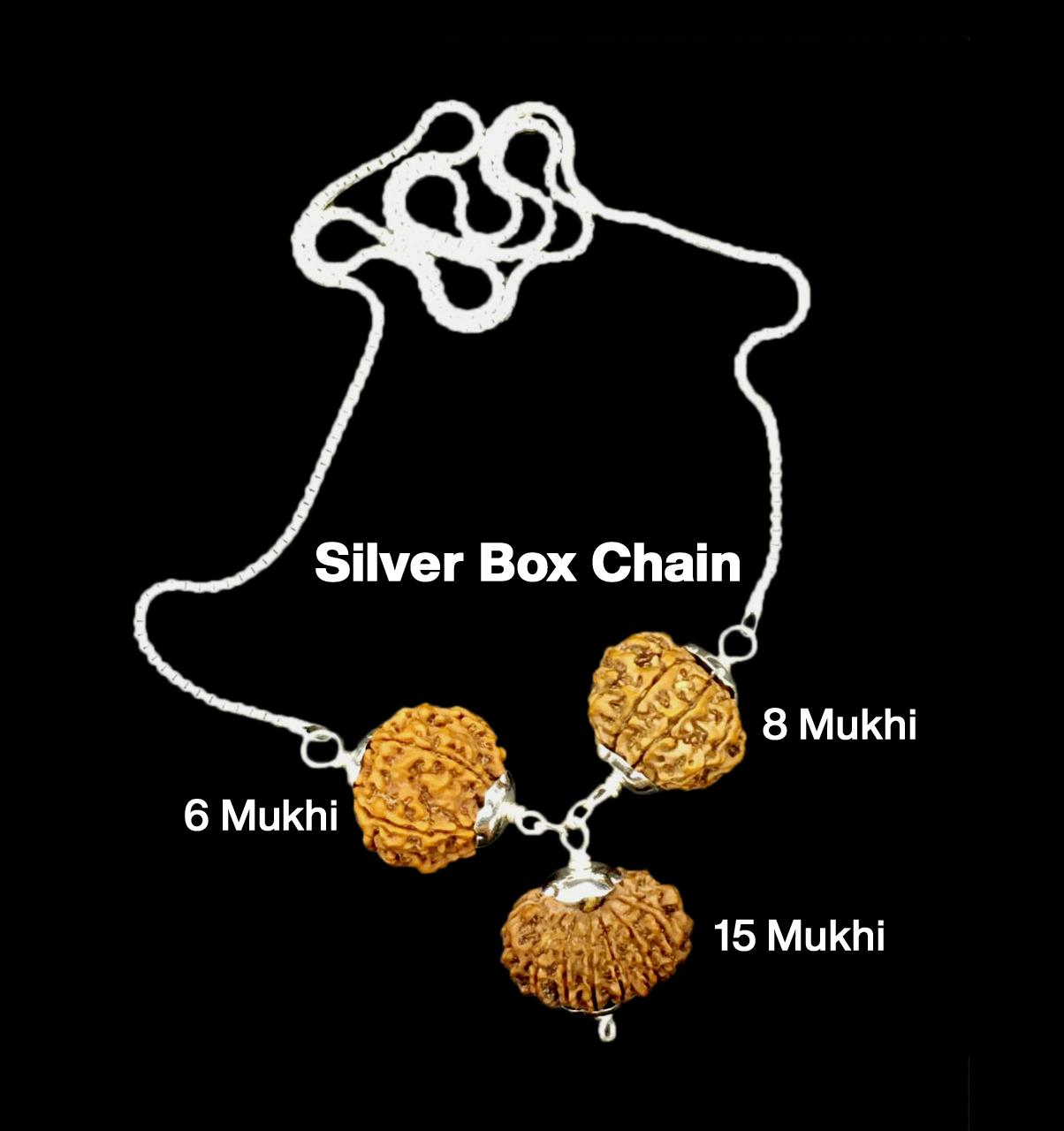 Rudraksha Combination for Business 6,8,15 Mukhi Nepal in Rudraksha Mala