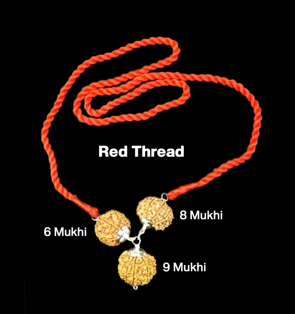 Rudraksha Combination for Females in Business 6,8,9 Mukhi Nepal in Silver Pendant