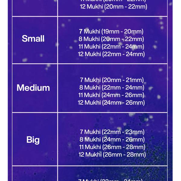 Rudraksha Combination for Business Power (Executives & Businessmen) 7,7,8,11,12 Mukhi Nepal in Silver Chain