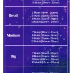 Rudraksha Combination for Business Power (Executives & Businessmen) 7,7,8,11,12 Mukhi Nepal in Silver Mala