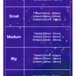 Rudraksha Combination for Business Power (Marketing & Trading) 7,7,8,13 Mukhi Nepal in Silver Chain