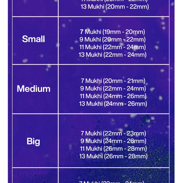 Rudraksha Combination for Wealth 7,9,11,13 Mukhi Nepal in Rudraksha Mala