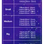 Rudraksha Combination for Wealth 7,9,11,13 Mukhi Nepal in Silver Pendant