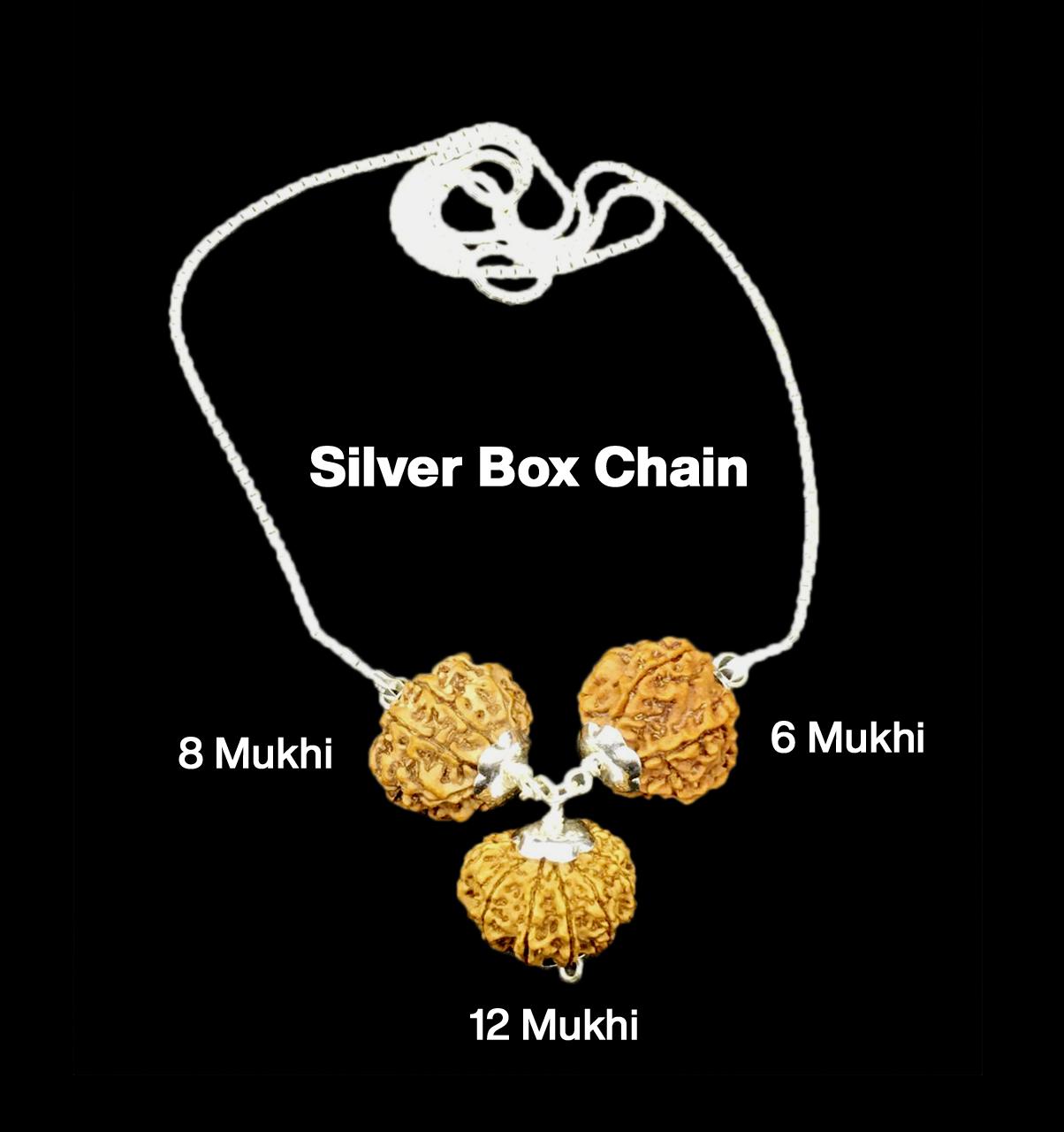 Rudraksha Combination for Business 6,8,12 Mukhi Nepal in Silver Chain