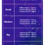 Rudraksha Combination for Total Protection 9,10,11 Mukhi Nepal in Silver Chain