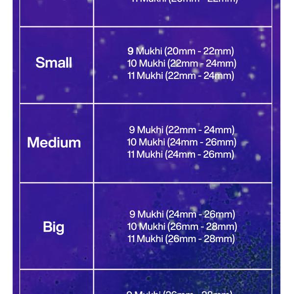 Rudraksha Combination for Total Protection 9,10,11 Mukhi Nepal in Silver Bracelet