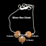 Rudraksha Combination for Doctors 4,9,12 Mukhi Nepal in Silver Chain