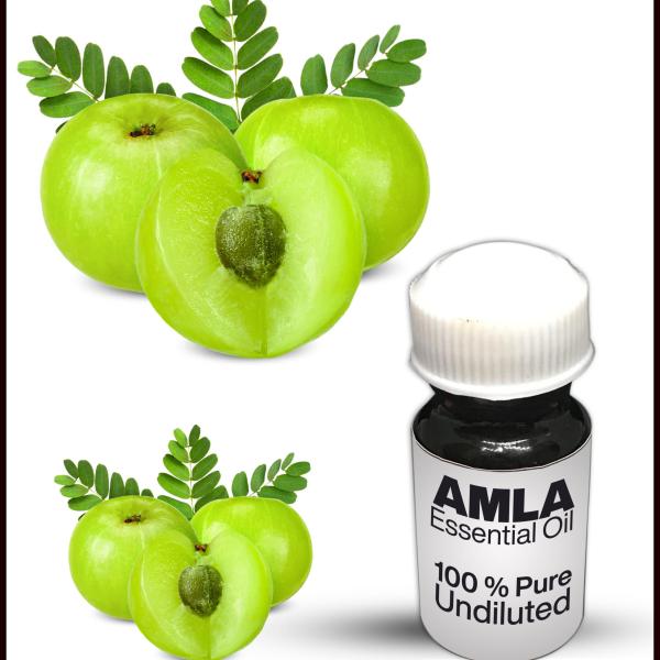 Amla Essential Oil