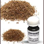 Aniseed Essential Oil