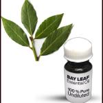 Bay Leaf Essential Oil