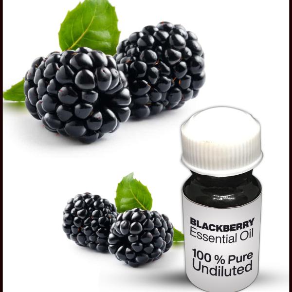 Blackberry Essential Oil