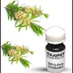 Cajuput Essential Oil