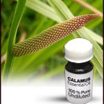 Calamus Essential Oil