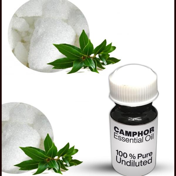 Camphor Essential Oil