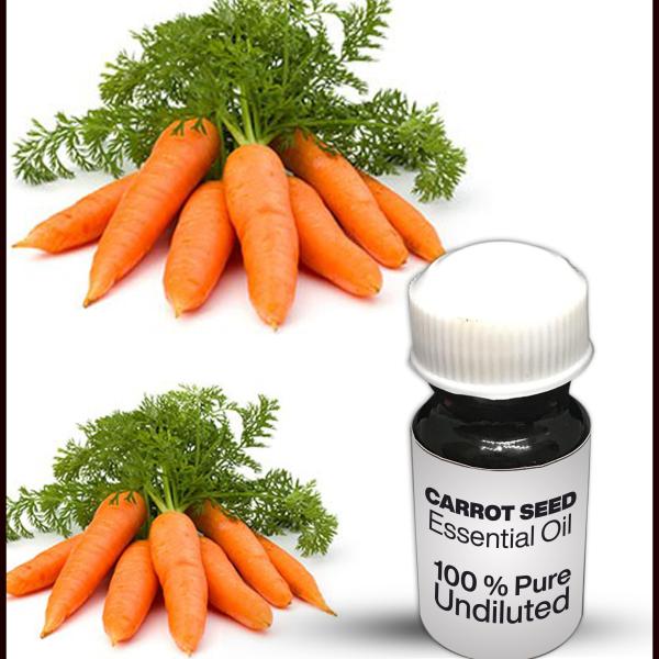 Carrot Seed Essential Oil
