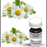 Chamomile Essential Oil