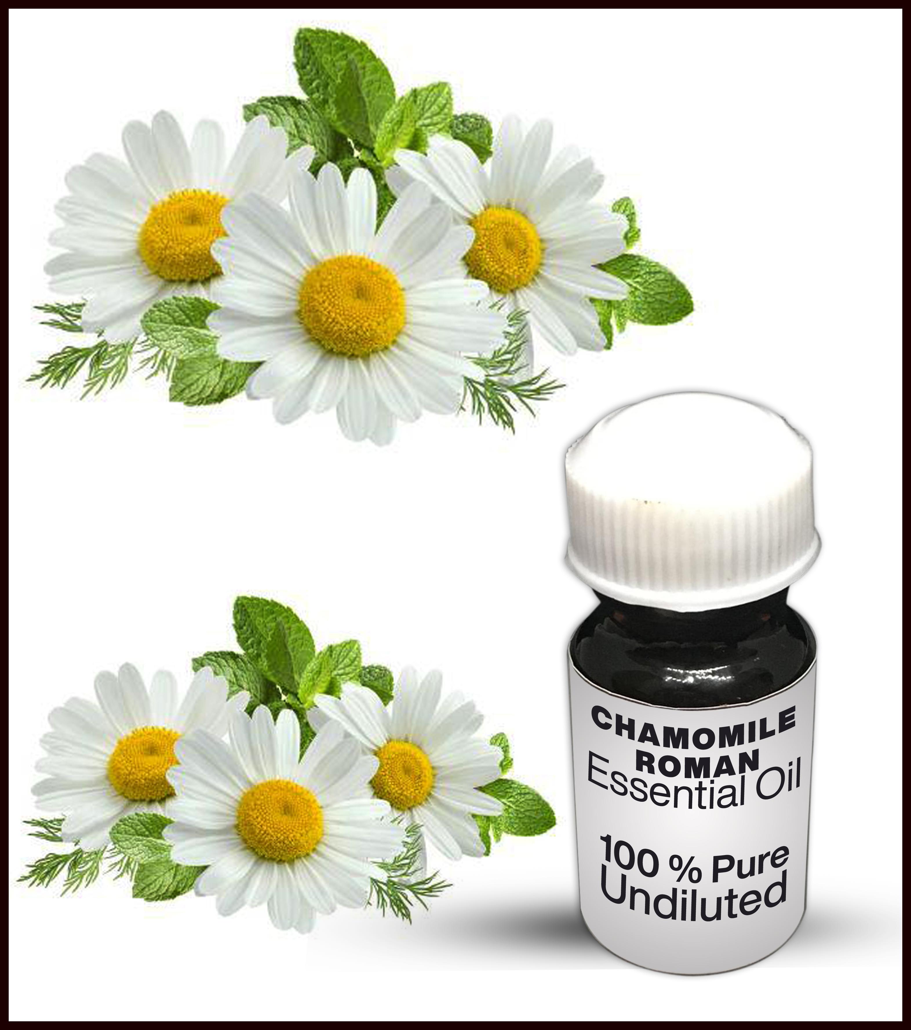 Chamomile Essential Oil